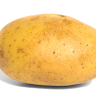 potatoejet6755