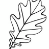 Oak Leaf